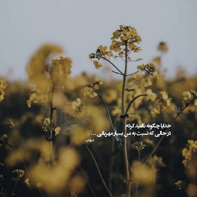 پیام عباسی میگفتی بری رگامه زدم